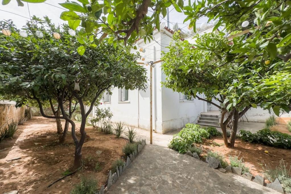 Bright & Cozy House Near Holiday home *
